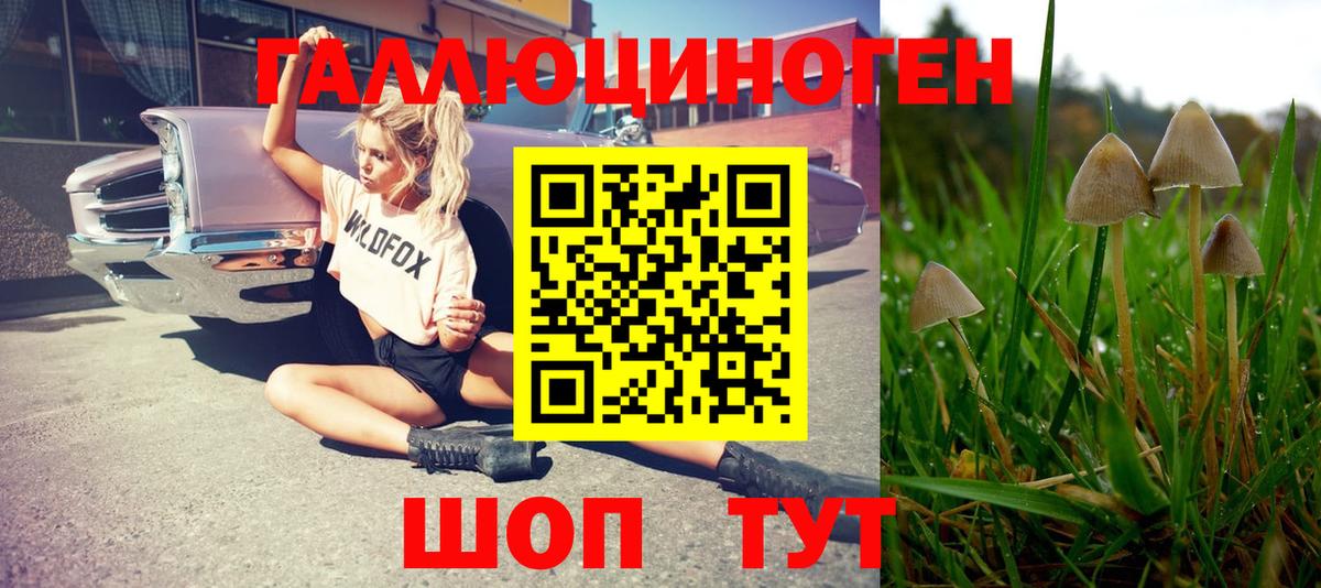 Южно-Сахалинск  Галлюциногенные грибы Magic Shrooms  Вход с VPN  Псилоцибиновые грибы прущие грибы 